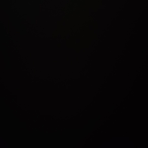 Meet your Posher, Ashton - Picture 1 of 1